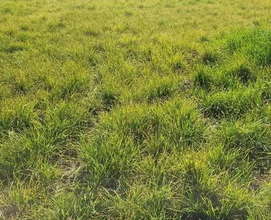 Terrain 851 m² ST MAURICE SUR EYGUES