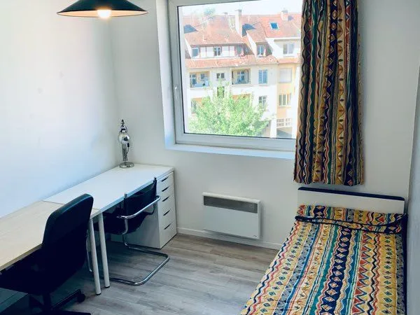 Spacieux studio meublé Neudorf