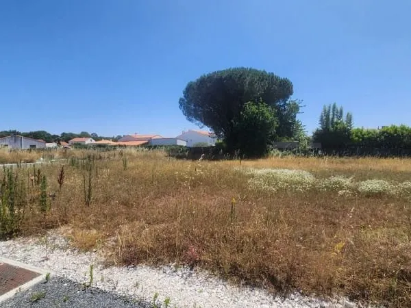 Terrain 351 m²