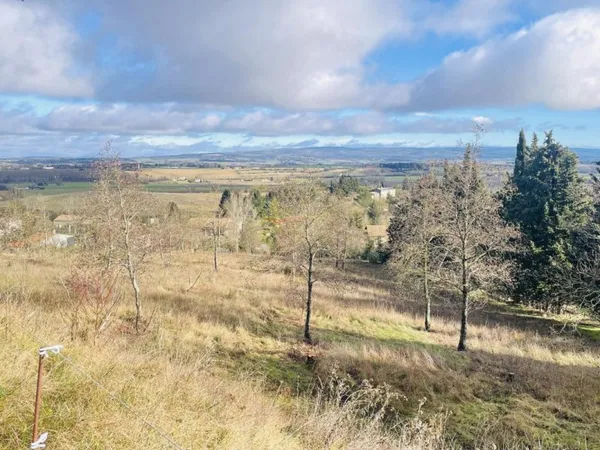 Terrain à batir- 8000m² - Spécial lotisseur, aménageur ou investisseur