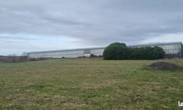 Serre horticole 6000m2 et terrain agricole