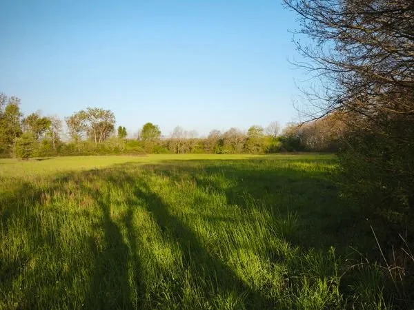 Terrain agricole