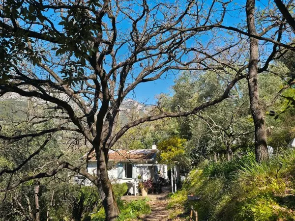 Maison 2 pièces - Citronneraie 1.5 ha