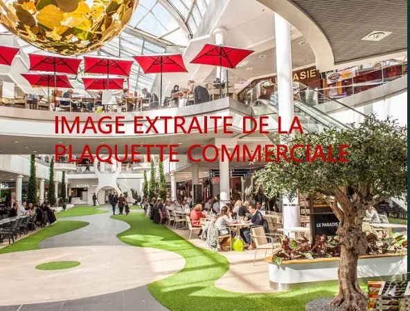 Achat : Appartement (94320)
