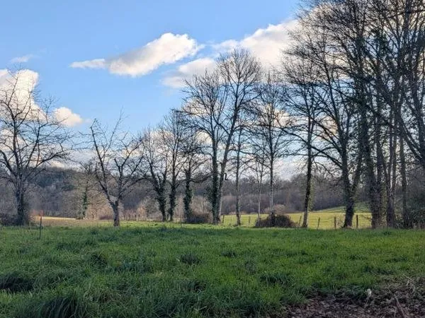 Terrain à Saint-Pardoux-L'Ortigier