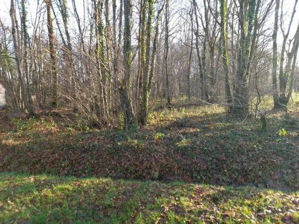 Terrain à vendre de 2 370,00 m² SAINT HILAIRE LES ANDRESIS (45)