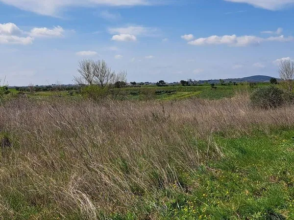 Terrain 7530 m²