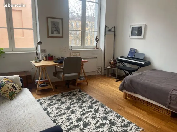 Colocation grand appartement lumineux lyon 4
