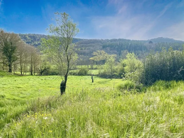 Projet de maison prêt à relancer - terrain viabilisé - permis valider
