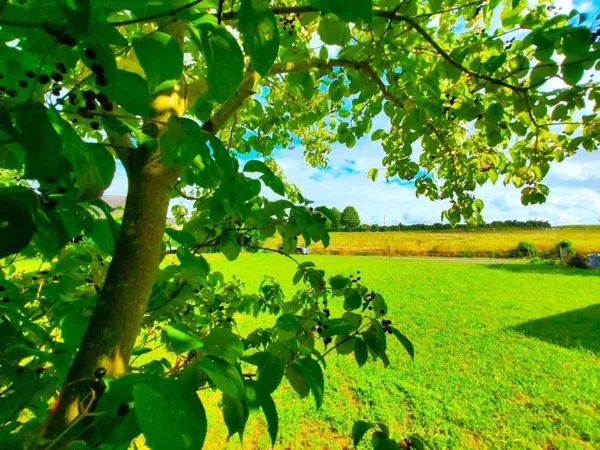 Terrain en individuel 600 m²