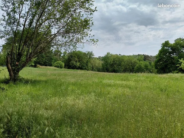 Terrain pour chevaux a louer