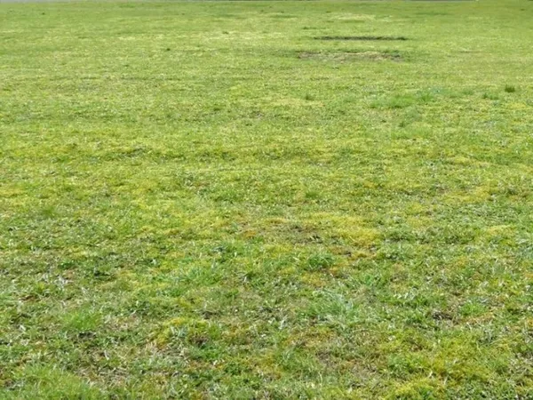 Terrain 760 m²
