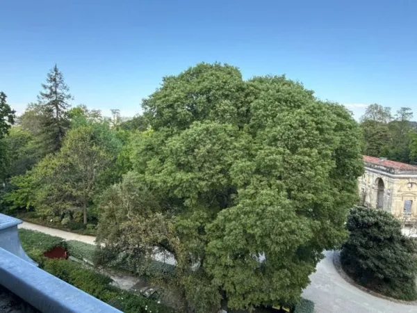 Jardin Public