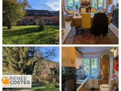 Vente en nue propriété - F80 ans - RAON SUR PLAINE (88110)