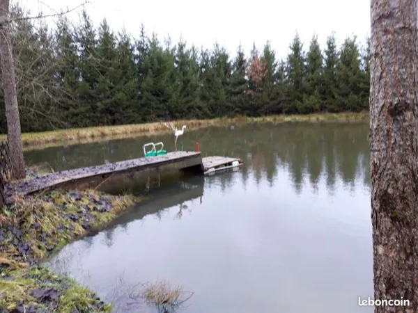 Etang de loisir