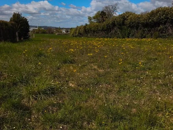 Terrains à vendre à Belberaud