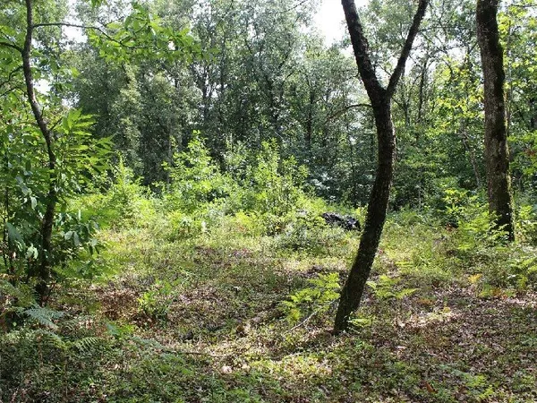 Terrain en individuel 3000 m²