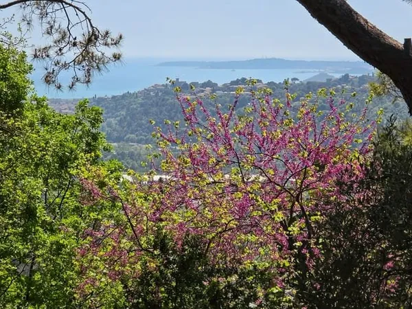 Terrain 1626 m²