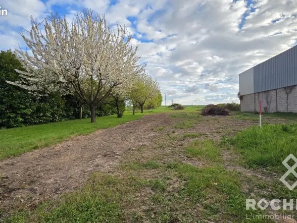 Terrain 1500 m² Paillé