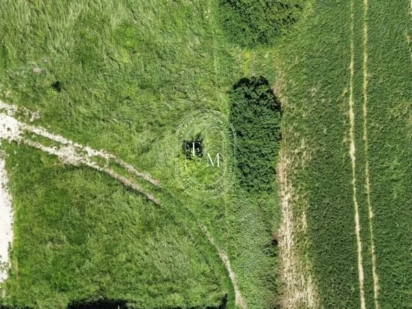 Un air de campagne à Balma