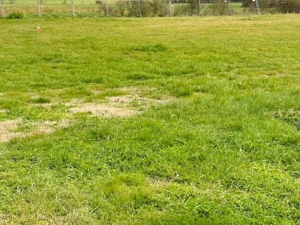 Terrain 700 m² Cire D Aunis