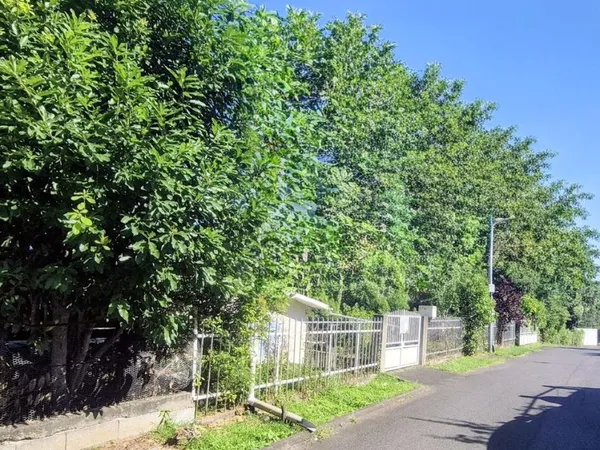 Une maison créole avec 846 m² de terrain - 97419 La