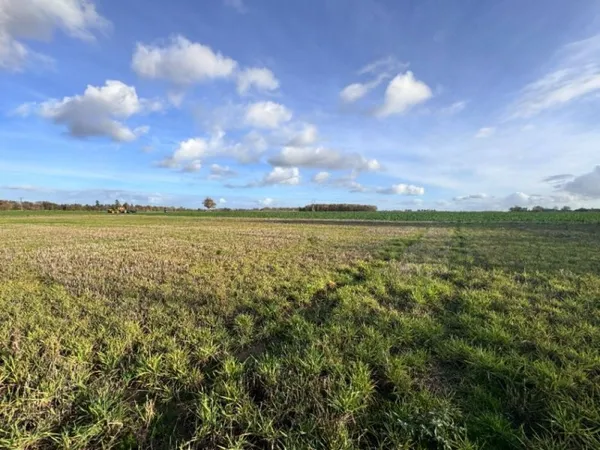 Terrain 1200 m²