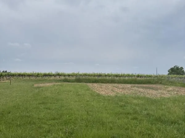 Terrain 1 000 m² Pugnac