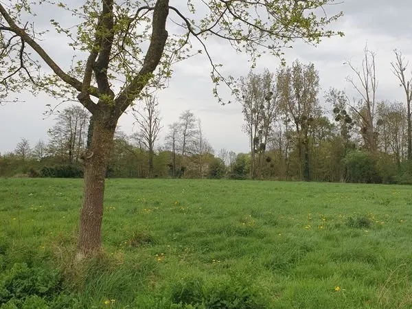 Terrain de loisirs