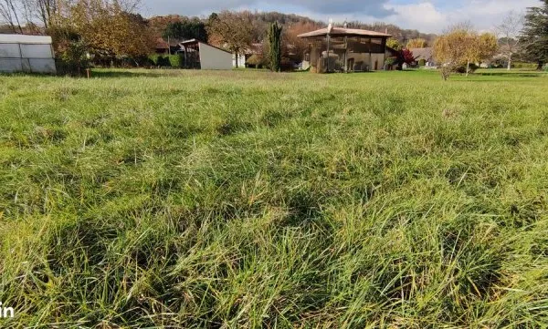 Magnifique terrain