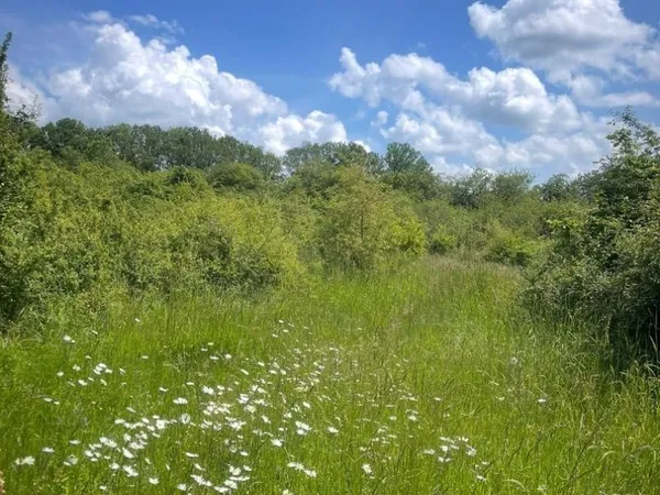 Terrain de loisir 4 ha - pré + verger + bois + cloturé
