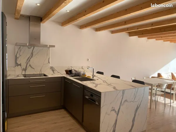 Loft 103 m² avec terrasse sans vis-à-vis + parking - 955 CC