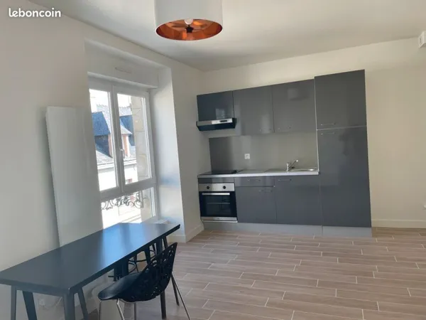 Studio 25m2 refait à neuf St Martin