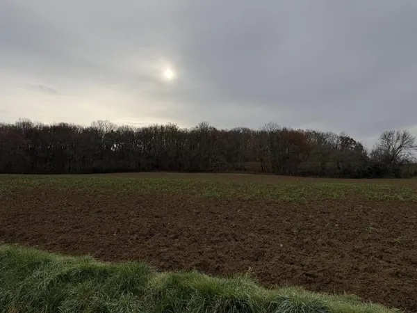 Bien agricole et foncier Vente Bon-Encontre  34735m² 50000€
