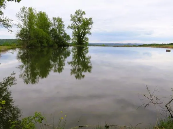 Propriété (18HA) avec une maison d'habitation (env 163m2) +