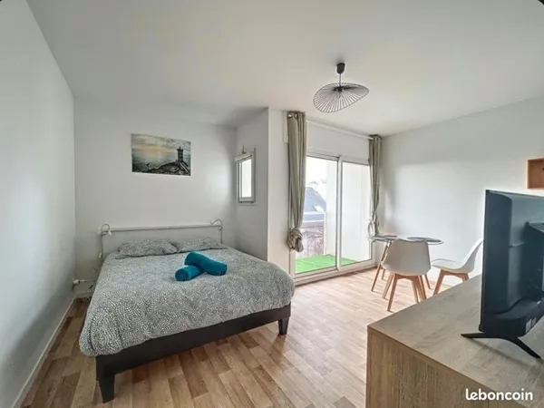 Studio rénovée récemment balcon et parking