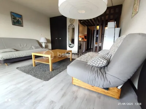 GRAND STUDIO CABINE DE 35M²
