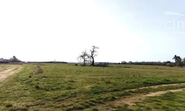 Terrain constructible viabilisé 8206 m²
