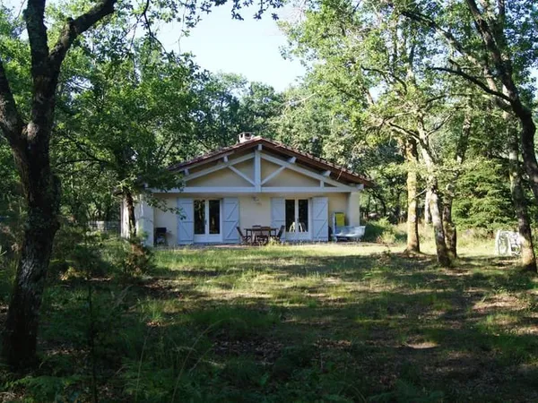 Au coeur de la forêt