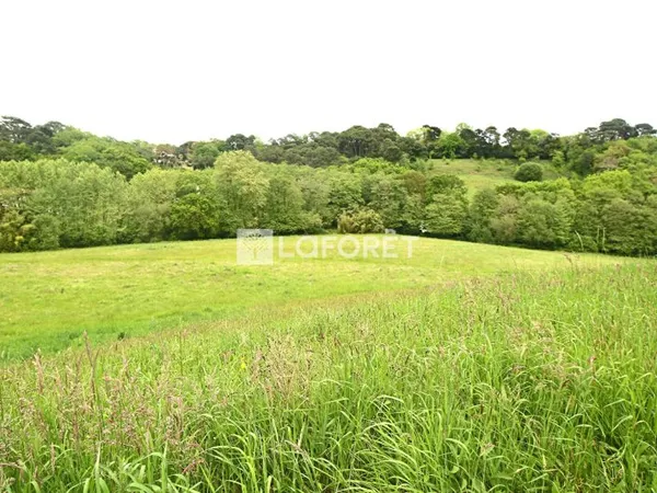 Terrain 38394 m²