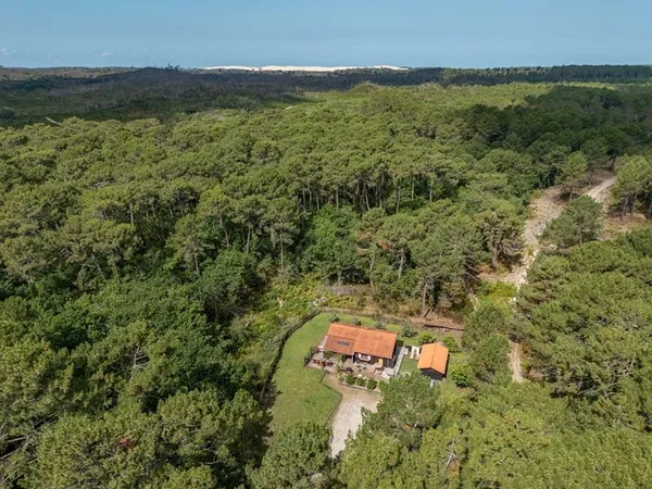 Exclusif - Cabane de résinier