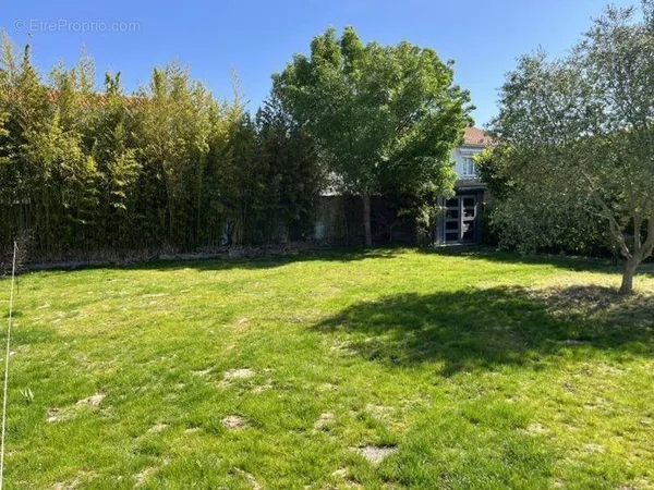 Terrain 980 m²