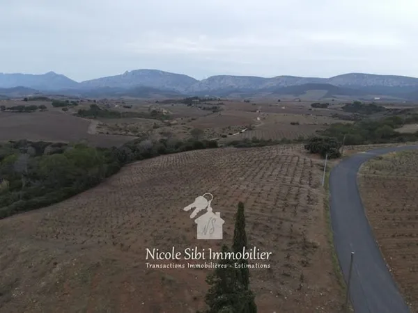 Vente terrain agricole