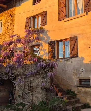 Vente maison et 2 lots