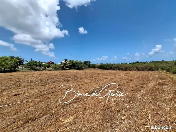 Terrain 6 000 m² Saint Francois