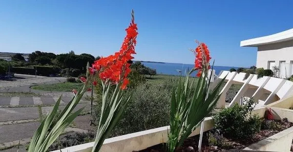 Appartement T1 La ROCHELLE vue mer