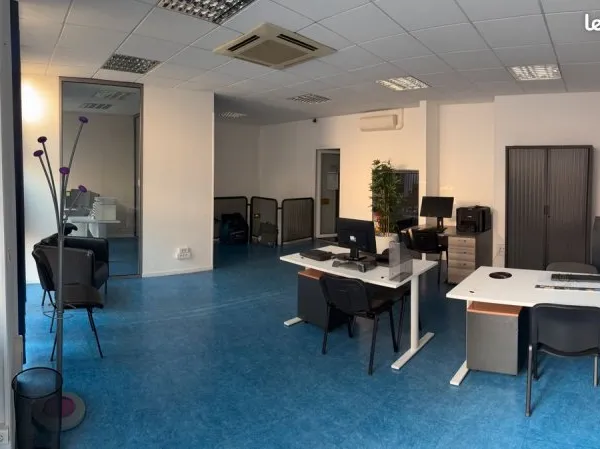Local Professionnel / Commercial