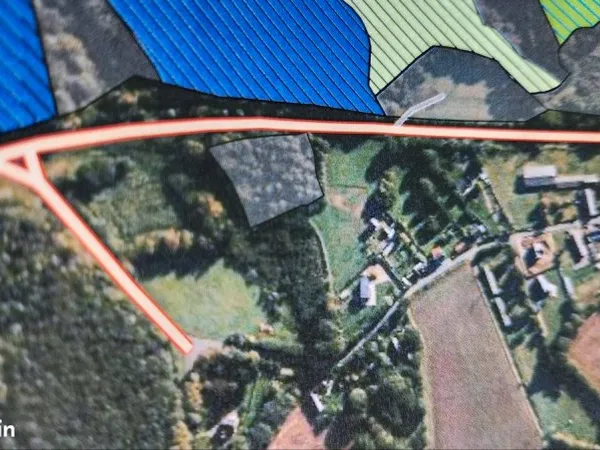 Terrain boisé