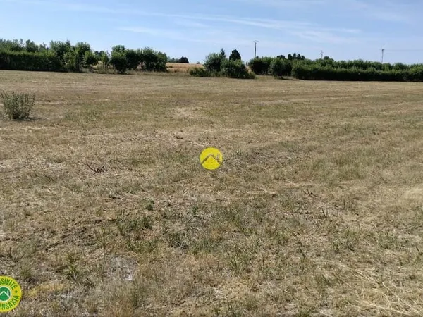 Terrain à bâtir