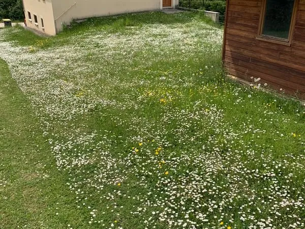 Maison basse consommation à louer